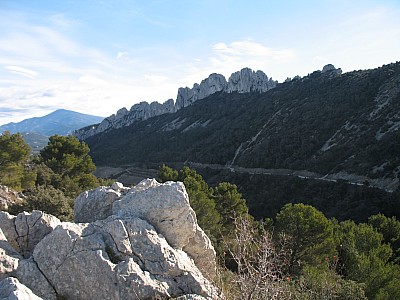 20120122_ 004.jpg